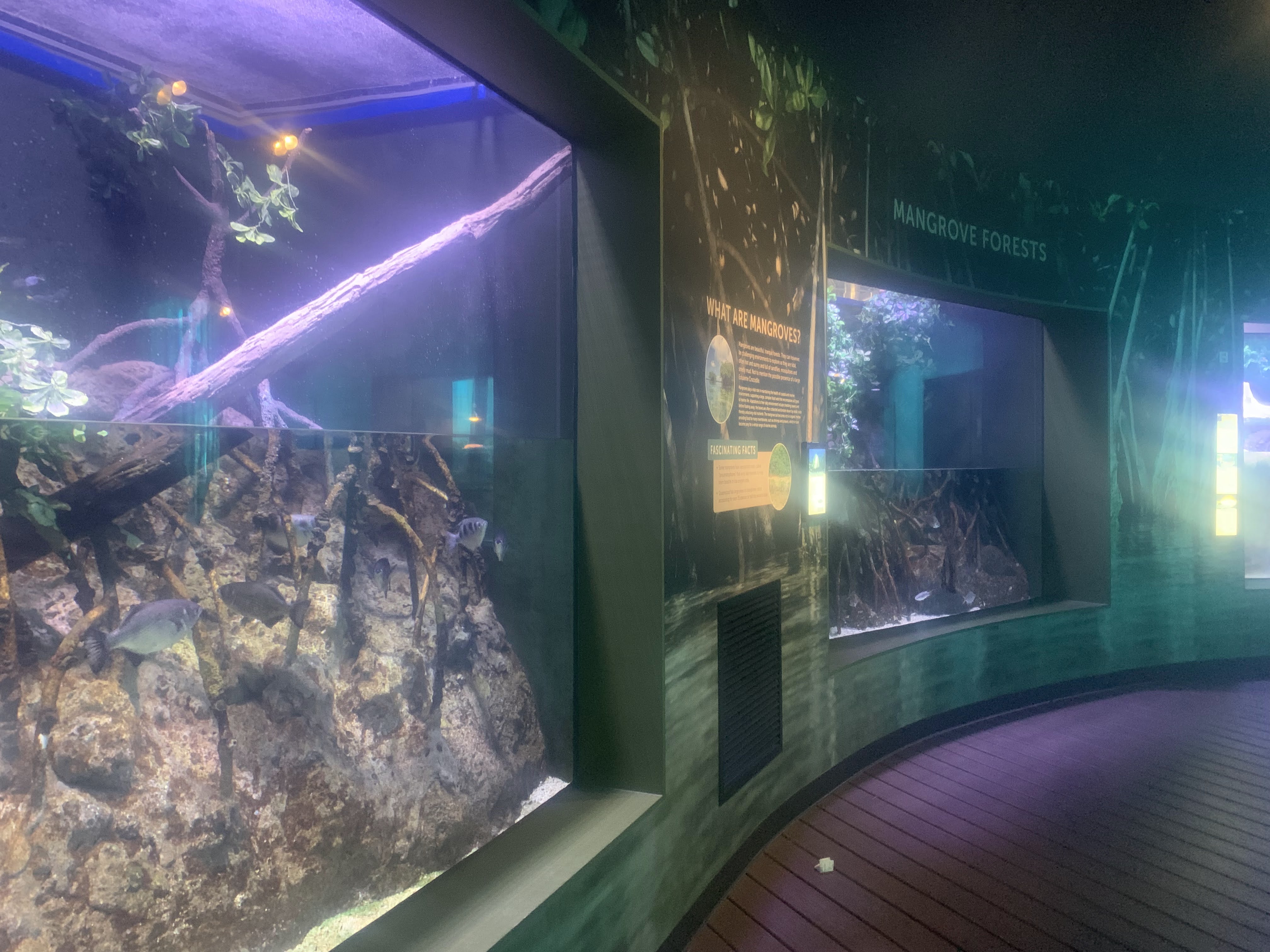 Cairns Aquarium