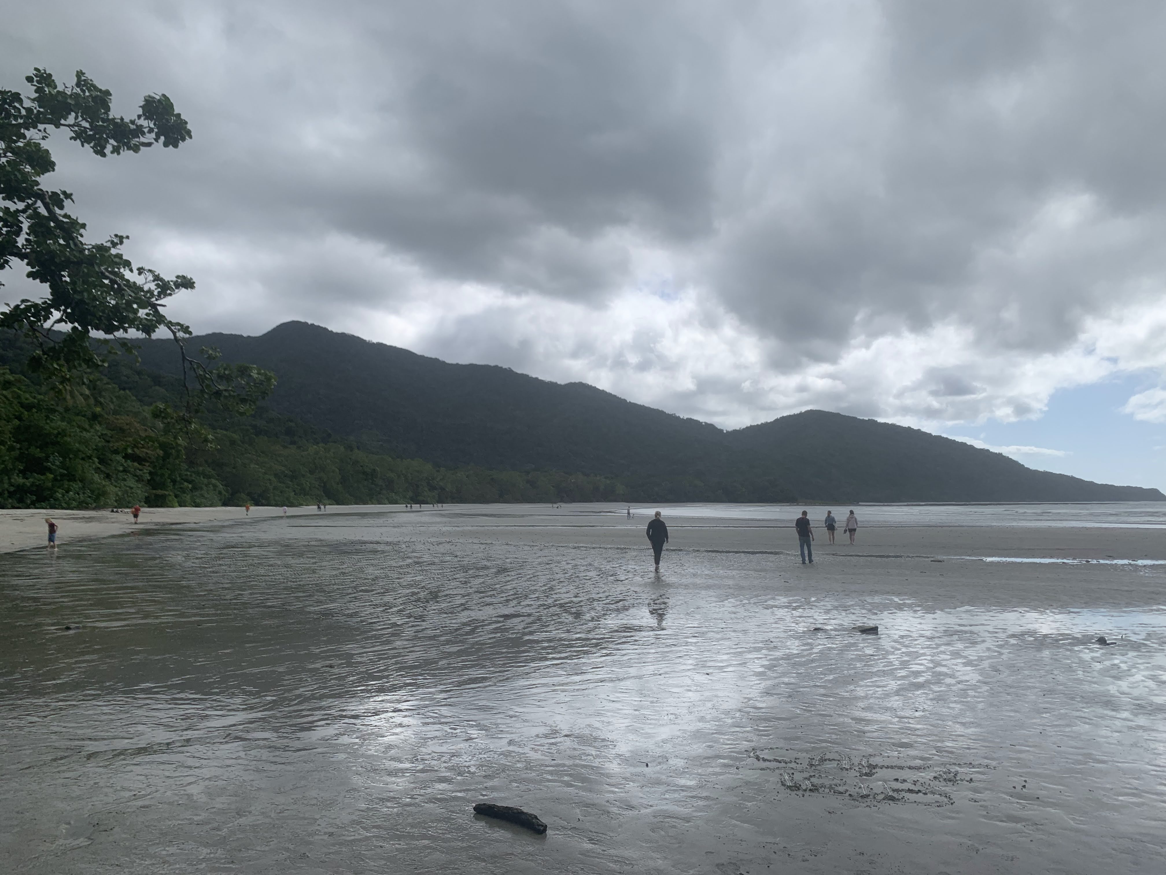 Cape Tribulation