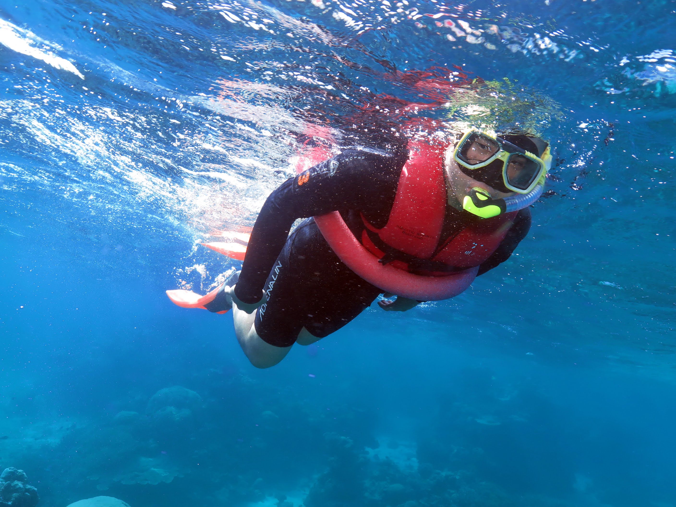 Great Barrier Reef - Swim